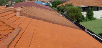 Roof Cleaning